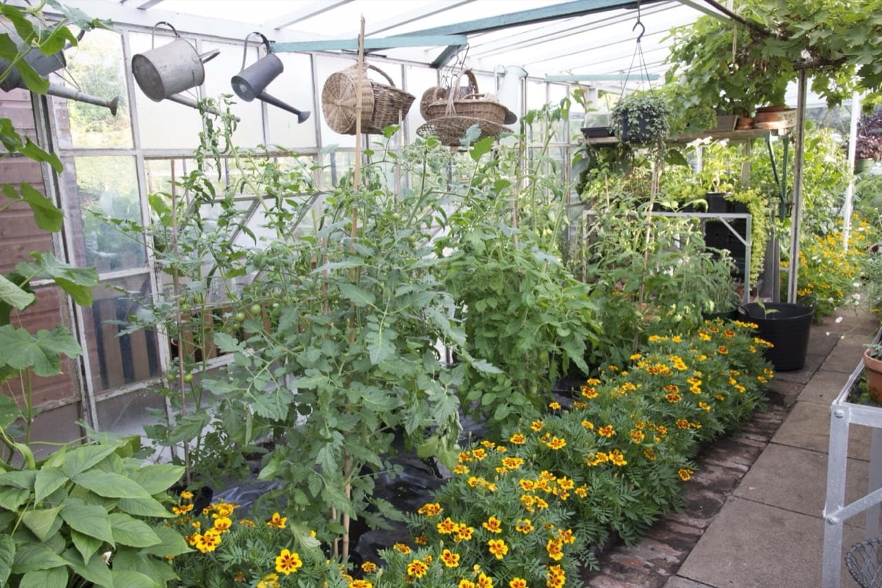 Kitchen Garden