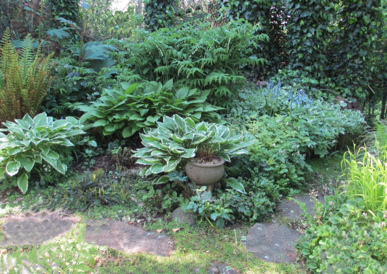 Woodland Garden