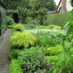 Kitchen Garden