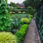 Kitchen Garden